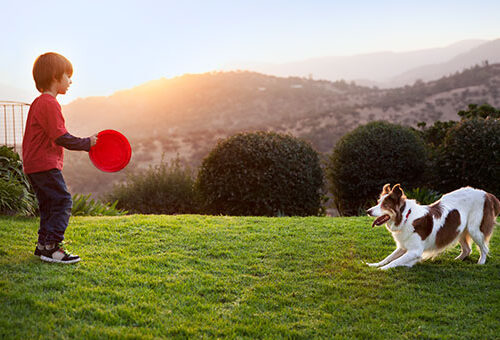 Adopcja psa: co musisz sobie uświadomić i pytania, które czas sobie zadać: