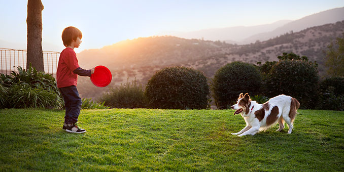 Adopcja psa: co musisz sobie uświadomić i pytania, które czas sobie zadać: